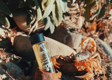 Load image into Gallery viewer, Scorpion, Northern Utah