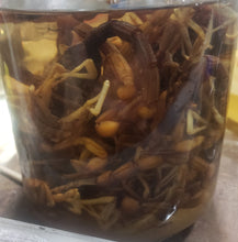 Load image into Gallery viewer, Scorpion, Southern Utah