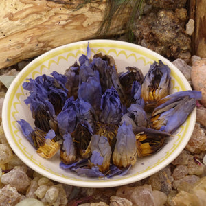Blue Lotus Crushed/Full Blossom/Petals