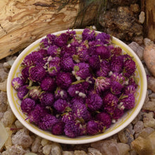 Load image into Gallery viewer, Globe Amaranth - Gomphrena globosa