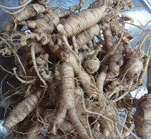 Load image into Gallery viewer, Ginseng, American Wild
